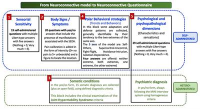 Validation of the neuroconnective endophenotype questionnaire (NEQ): a new clinical tool for medicine and psychiatry resulting from the contribution of Ehlers–Danlos syndrome